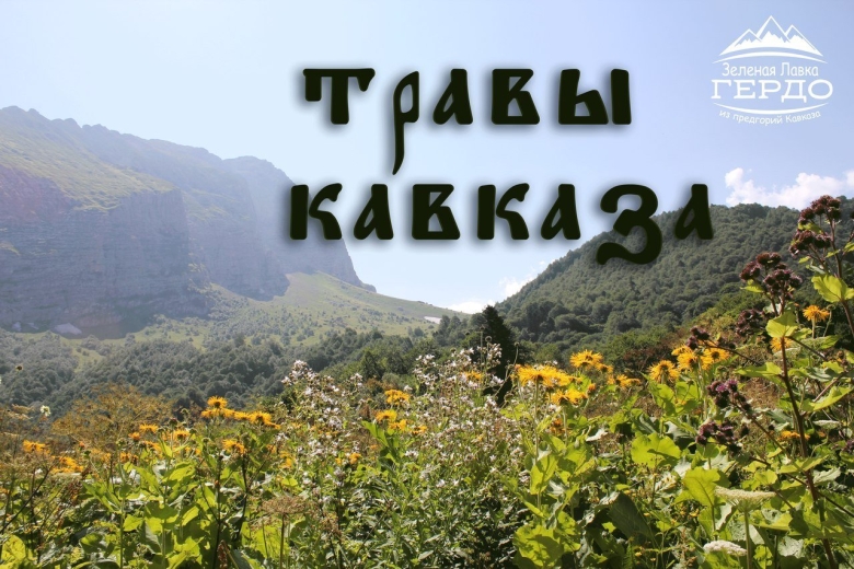 Растения предгорья Кавказа