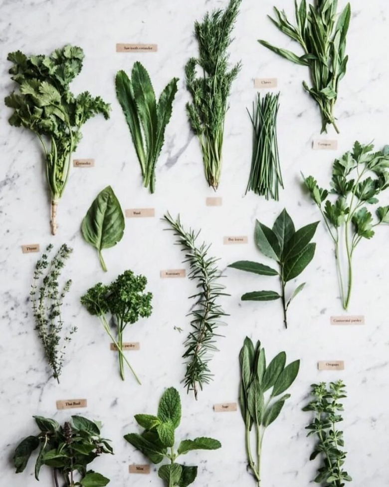 Розмарин эстрагон любисток