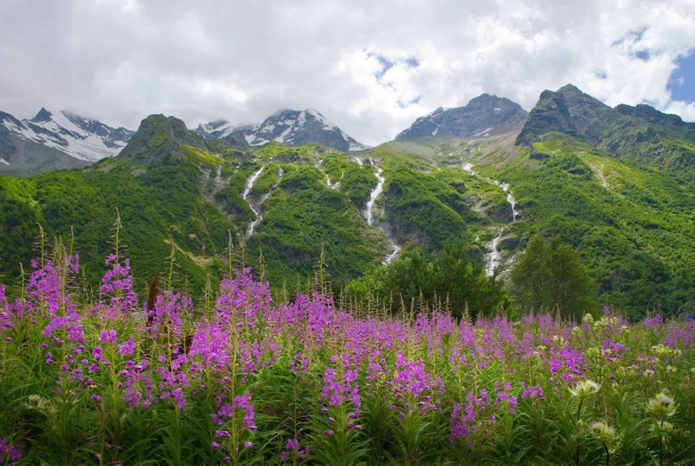 Альпийские Луга Северного Кавказа