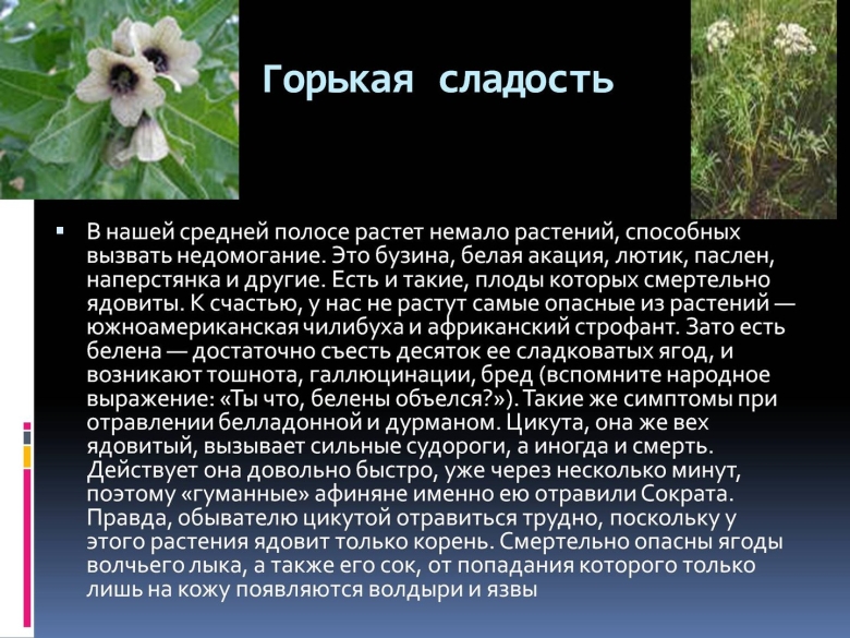 Ядовитые растения доклад