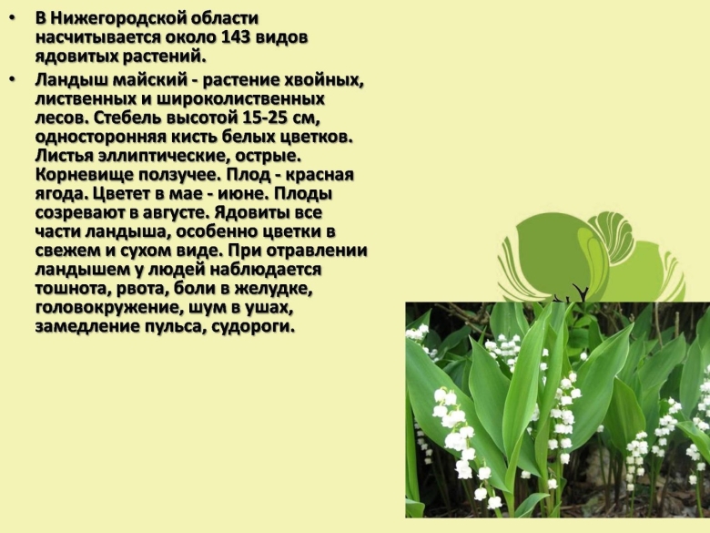 Растения Нижегородской области