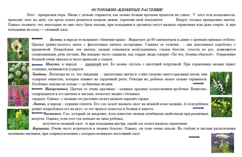 Составь памятку признаки ядовитых растений