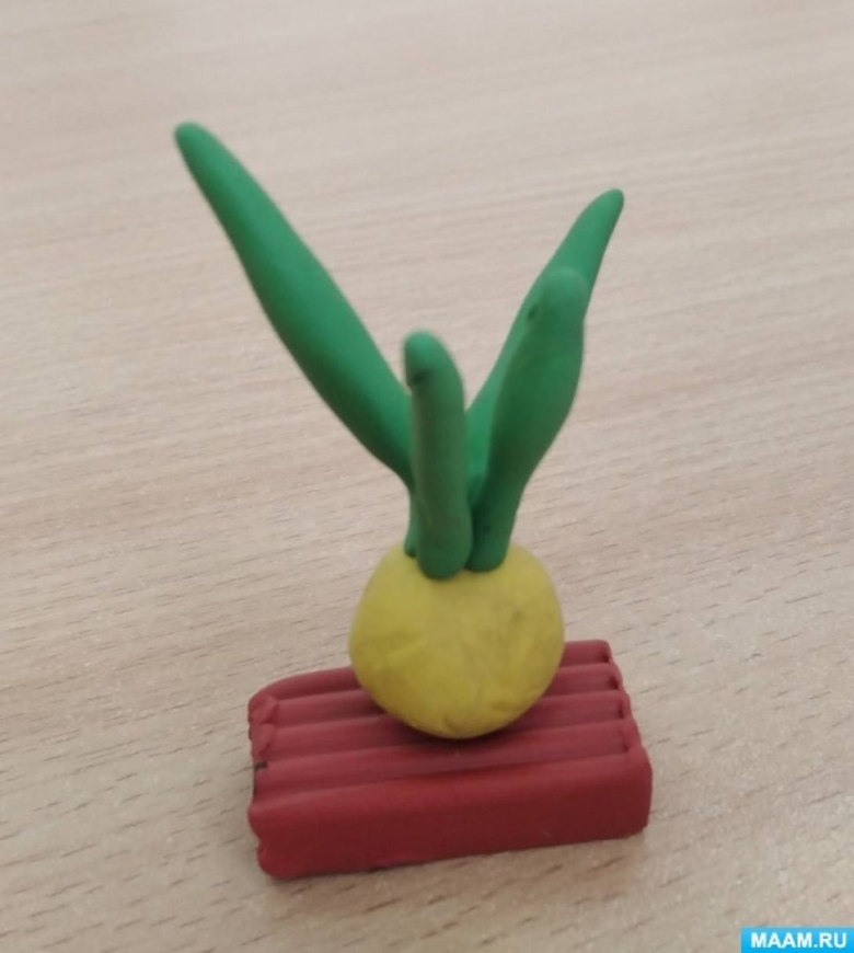 Лепка «лучок»