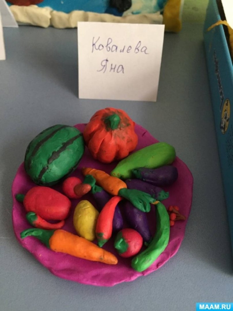 Лепка овощей и фруктов в подготовительной группе