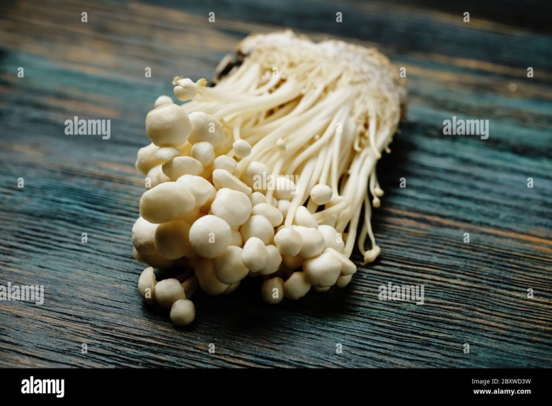 Японские грибы энокитаке