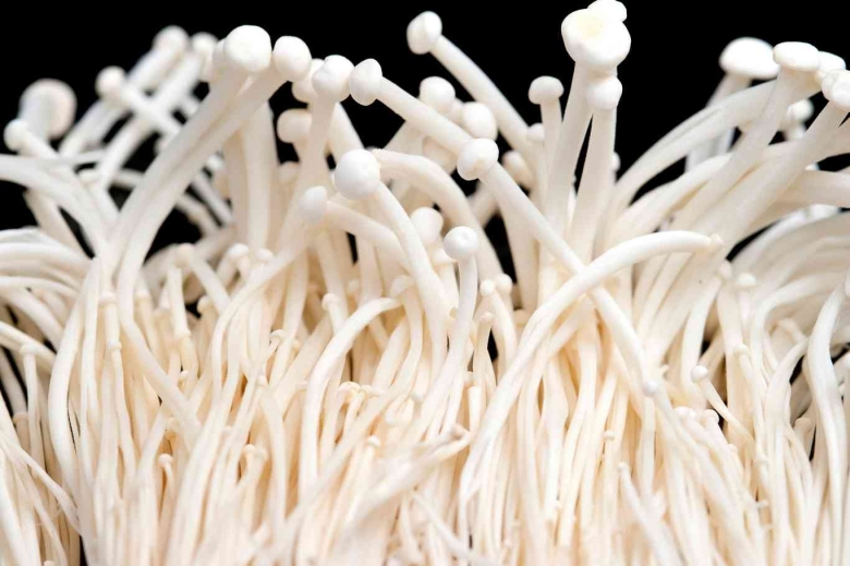 Китайские грибы эноки