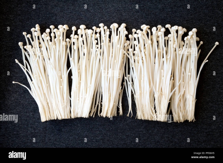 Корейские грибы Эноки