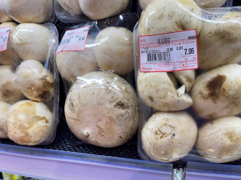 Гриб шампиньон