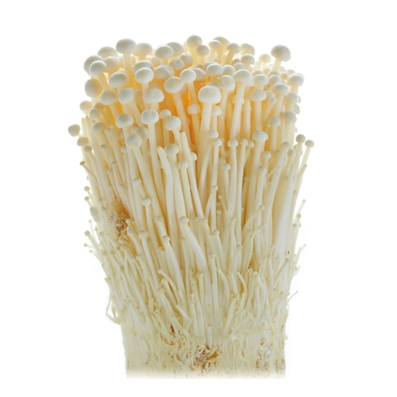 Enoki mushroom