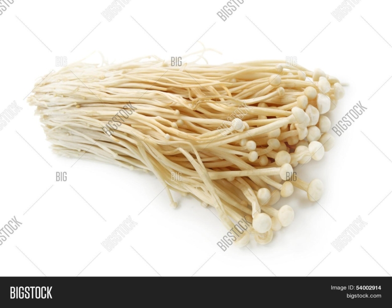 Грибы золотые нити