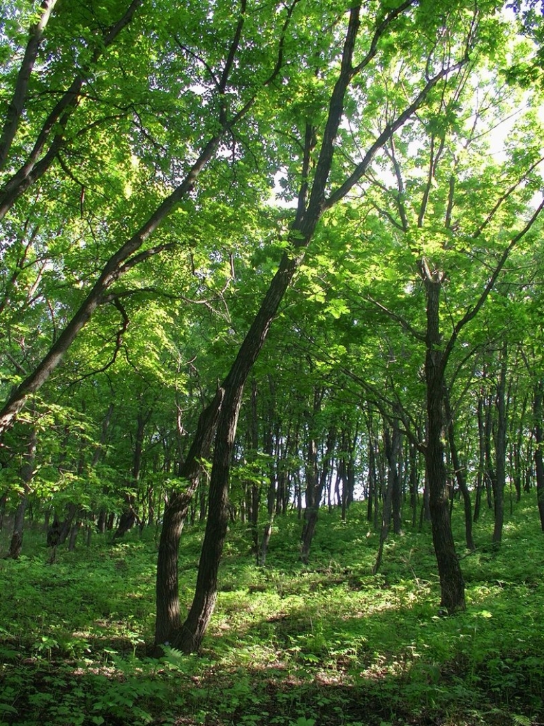 Находка Приморский край природа