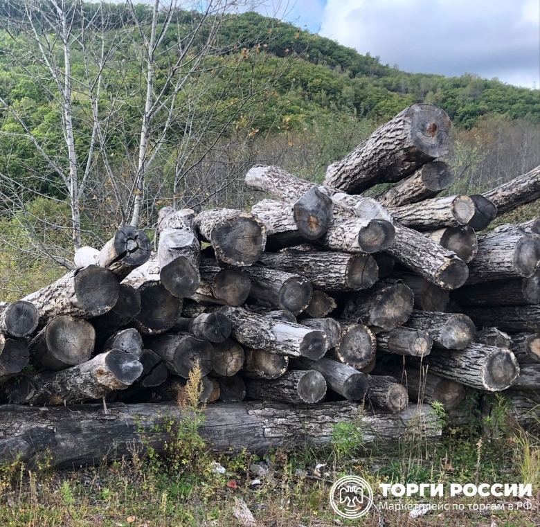 Сортименты древесины перечень