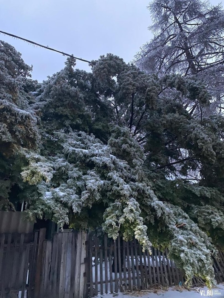 Ледяной дождь Владивосток