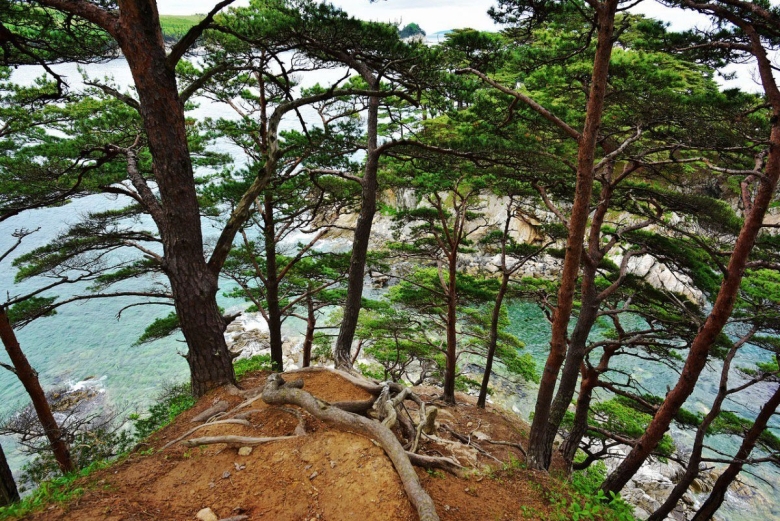 Дальневосточный морской биосферный заповедник