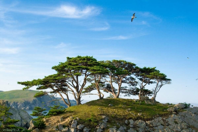 Дальневосточный морской биосферный заповедник