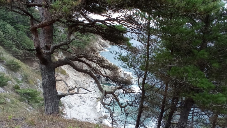 Бухта Орлинка Приморский край