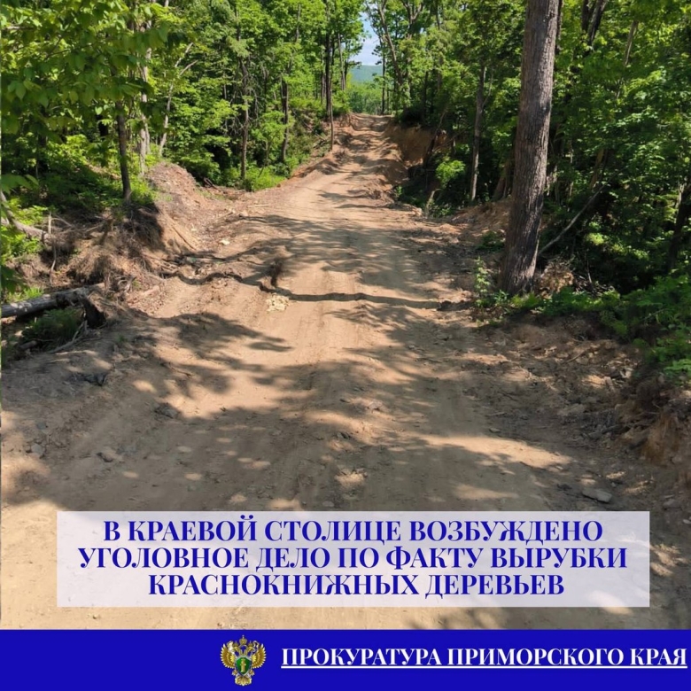 Прокуратура приморского края