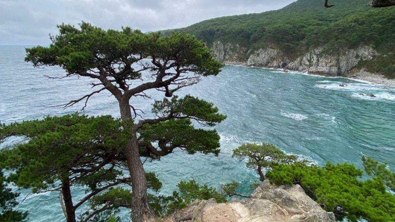 Полуостров гамова бухта теляковского