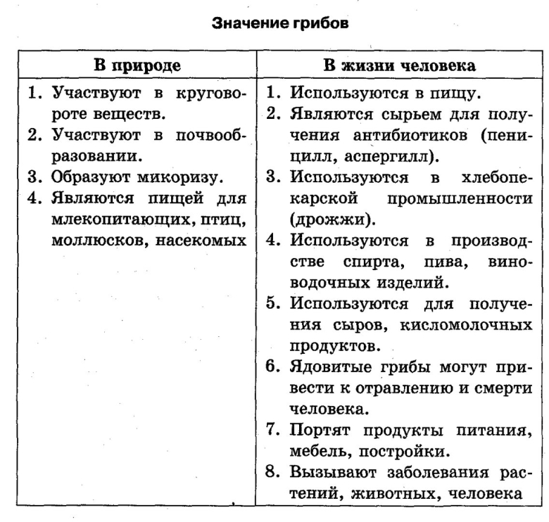 Как составить таблицу значение грибов
