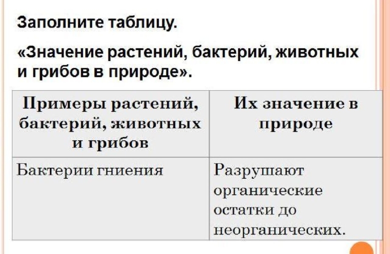 Значение бактерий в природе