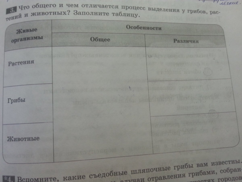 Общие признаки процесса выделения у грибов растений и животных