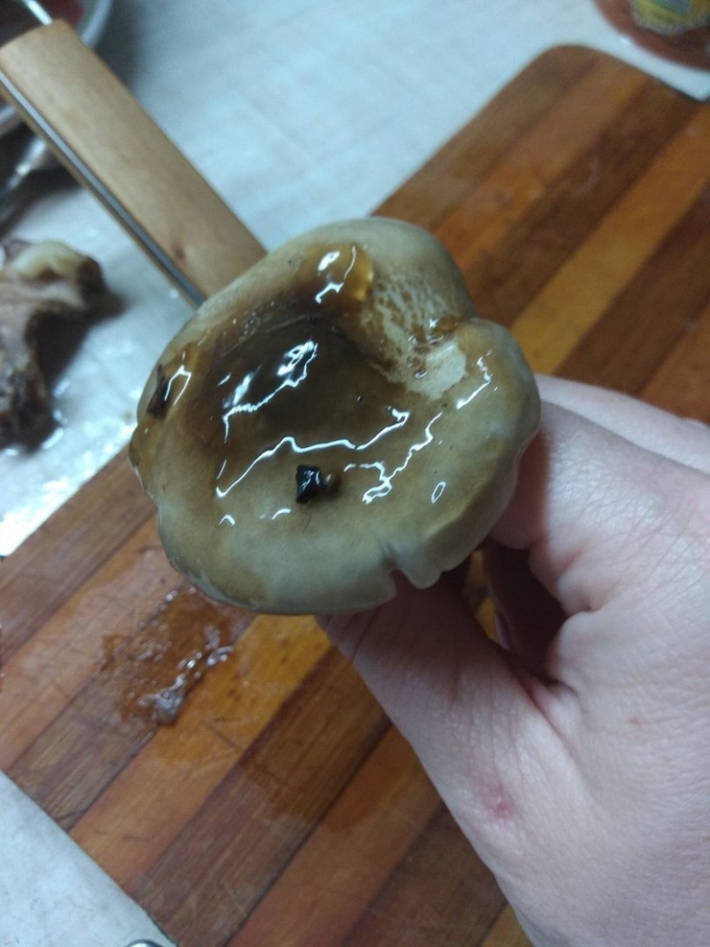 Склизкие но сытные