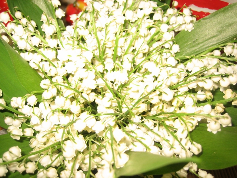 Охапка ландышей