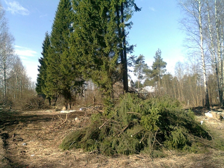 Поселок Рахья Ленинградской области