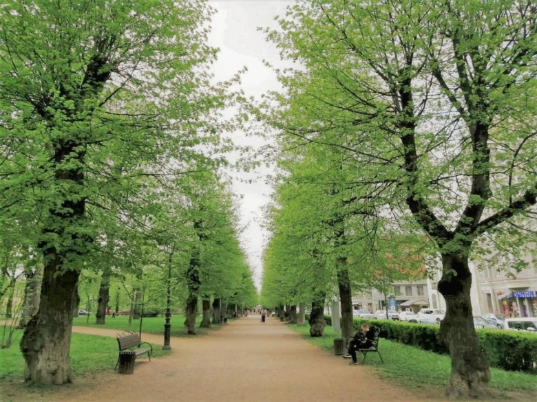 Парк Лесотехнической Академии СПБ фото