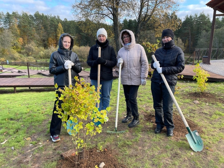 Деревья Ленобласти