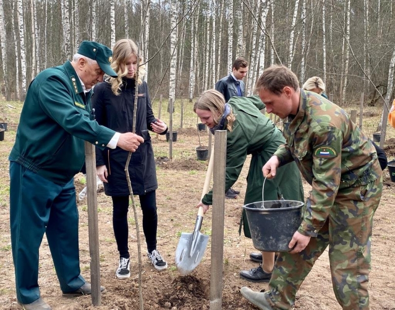Высадка деревьев акция