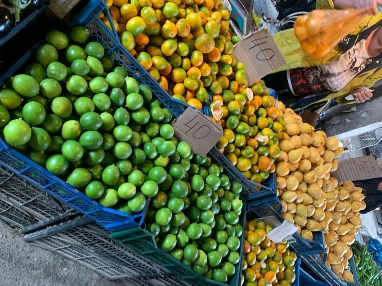 Плантация фейхоа Абхазия