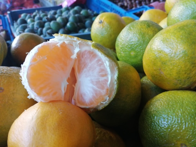 Мандарины сорт Абхазия