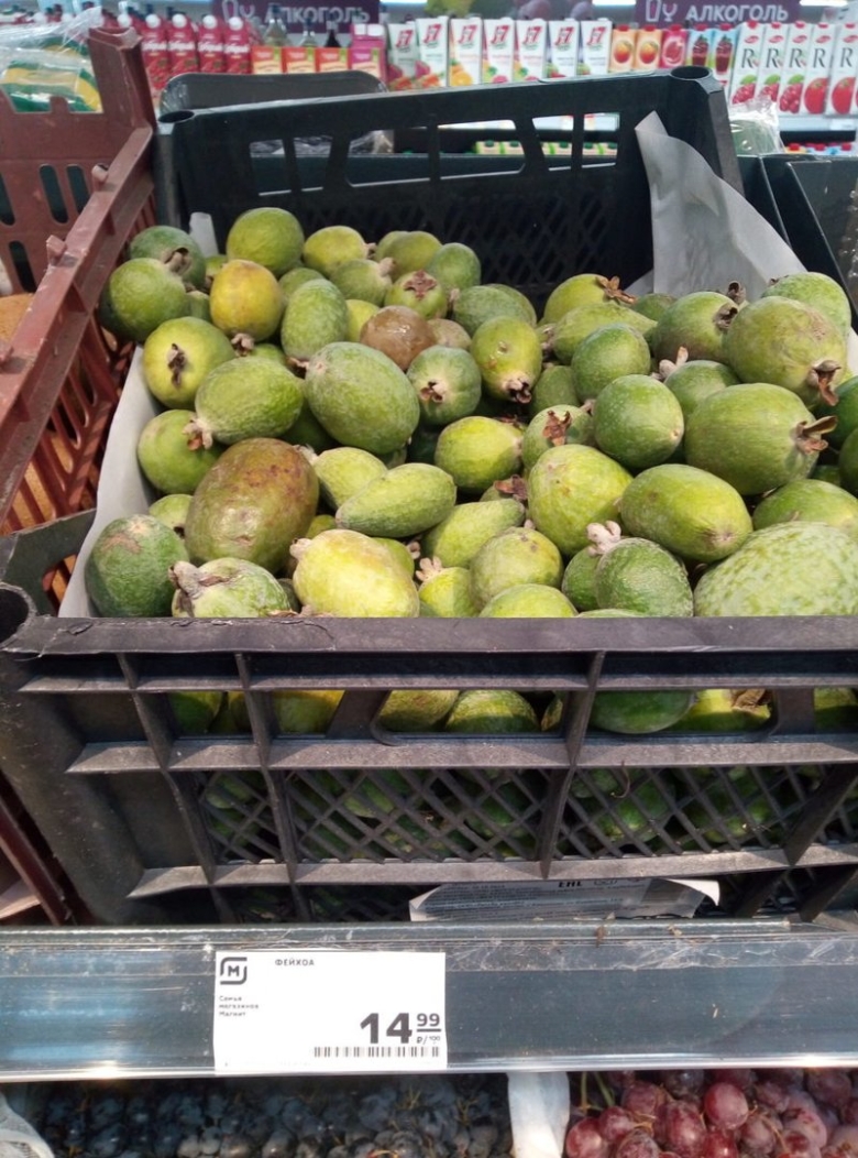 Фейхоа в магните