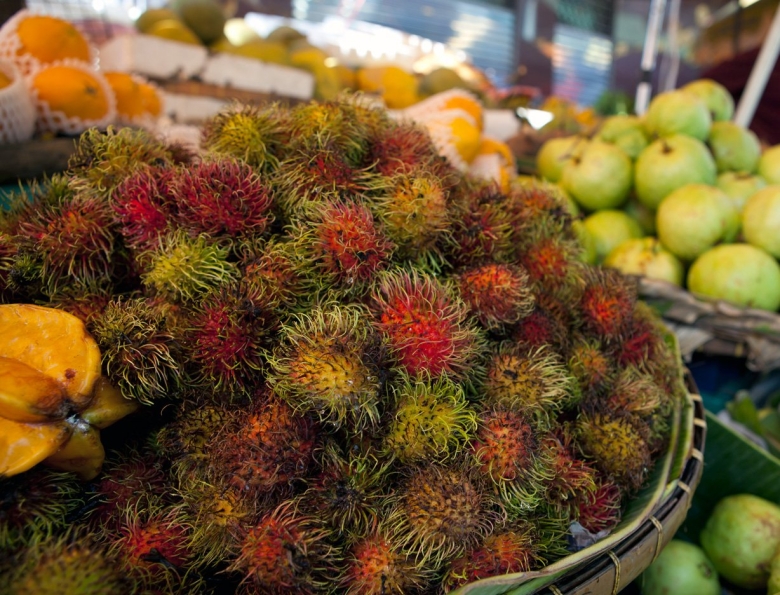 Экзотические фрукты Абхазии