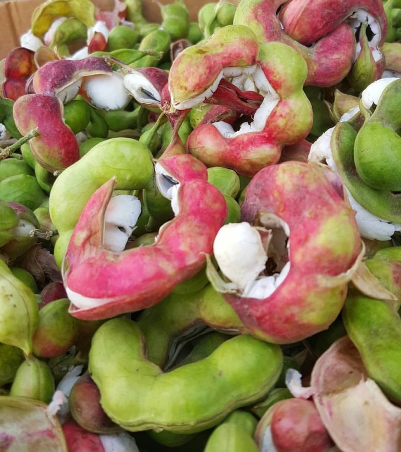 Экзотические фрукт