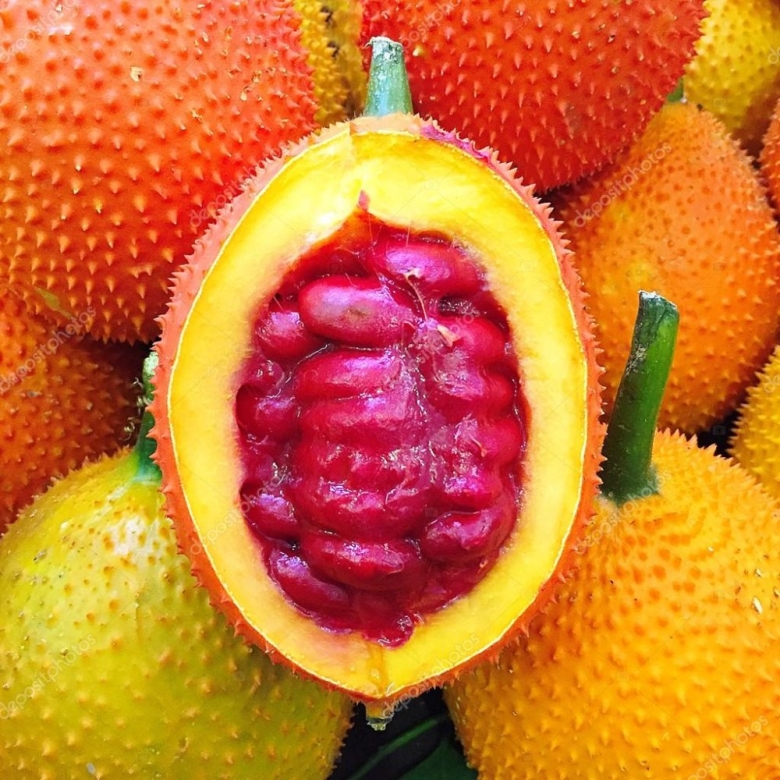 Момордика кохинхинская