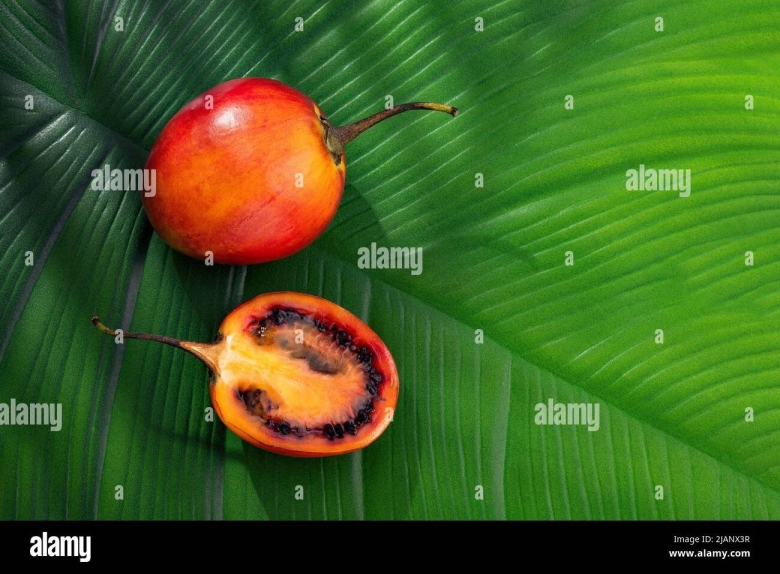 Экзотический фрукт Тамарилло