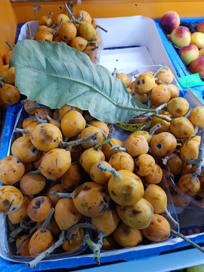 Мушмула абхазия