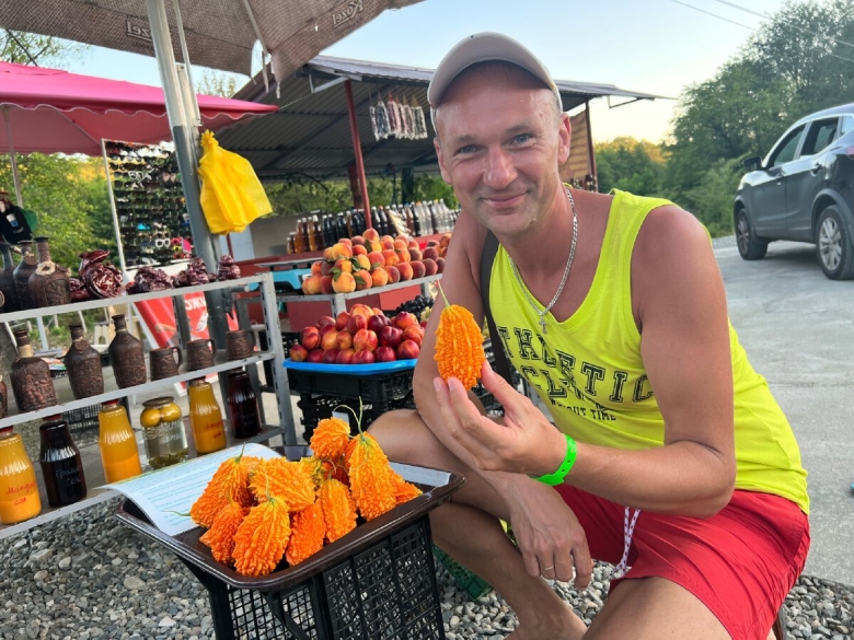 Момордика индийский гранат