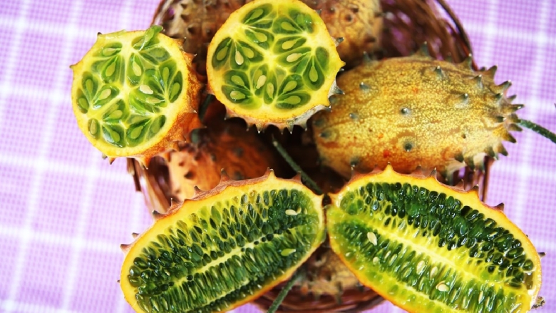 Кивано условия выращивания