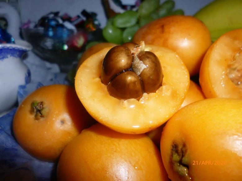 Ягода в Абхазии мушмула