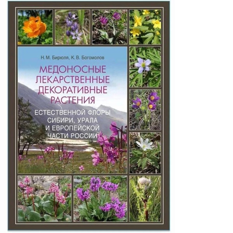 Медоносные растения Урала