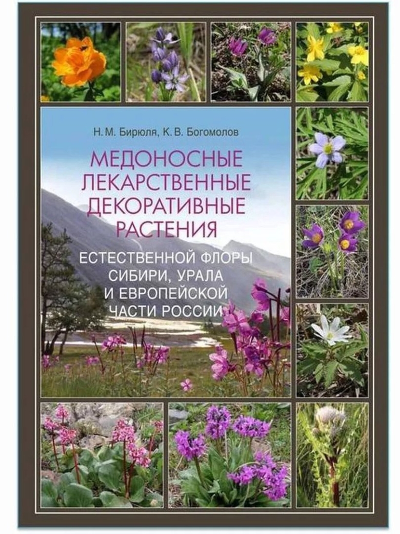 Декоративные лекарственные растения