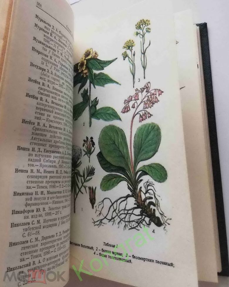 Атлас русских лекарственных растений. в.к. варлих