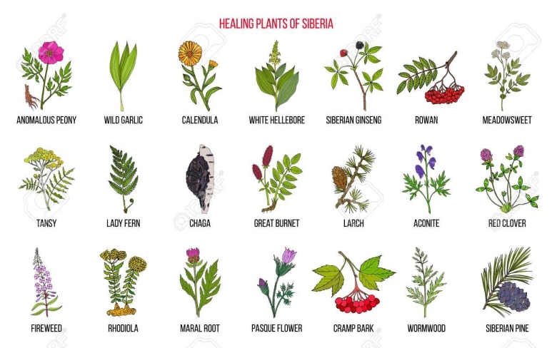Medicinal herbs