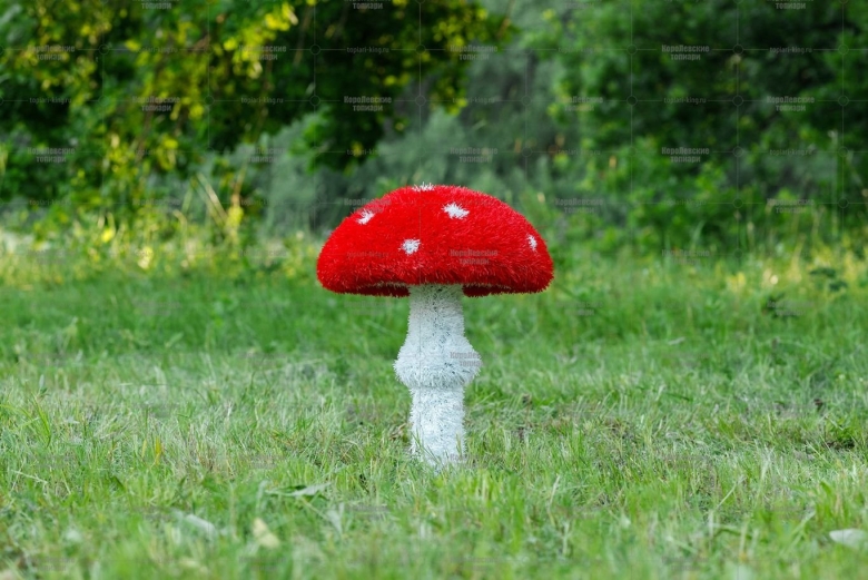 Мухомор королевский