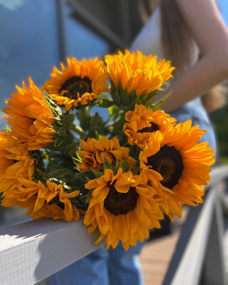 Хелиантус Orange faire