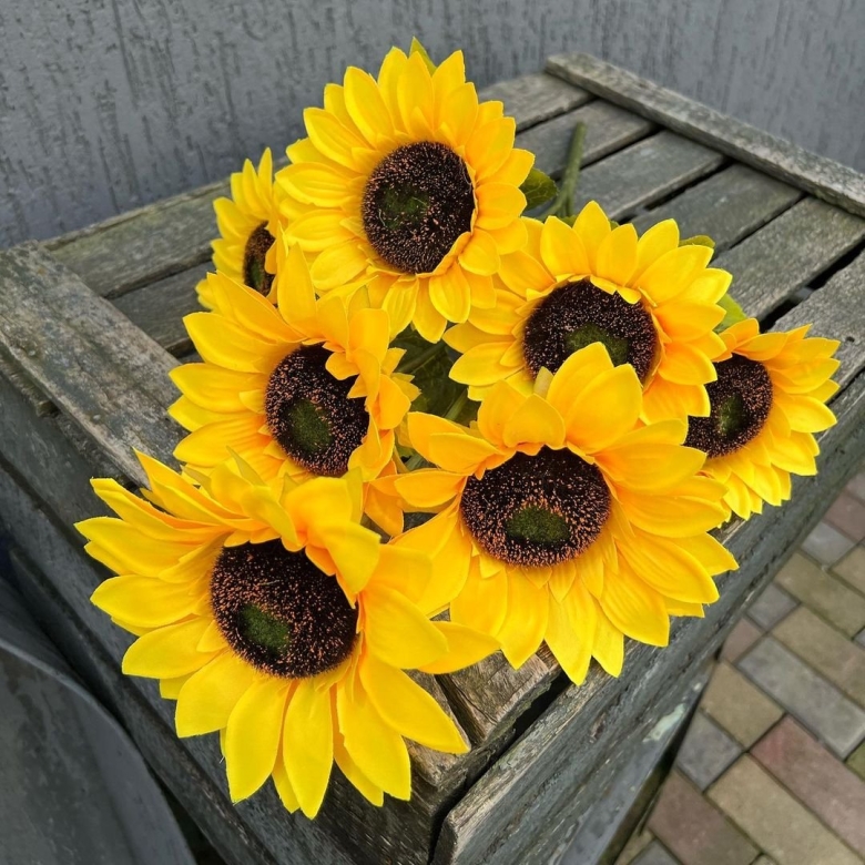 Подсолнечник Винсент Чойс дип оранж