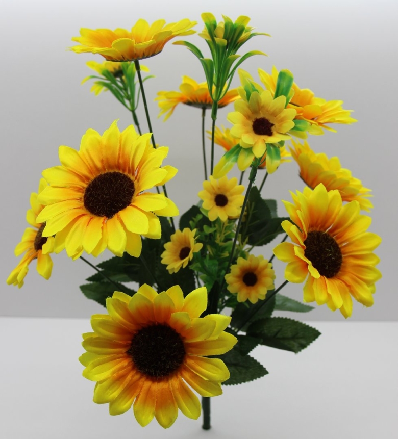 Цветы Подсолнухи декоративные